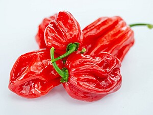 Seminţe de ardei iute Habanero Red Carabian