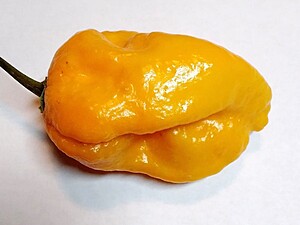 Seminţe de ardei iute Big Mama Gold