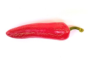 Seminţe de ardei Jalapeno Senorita