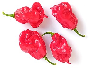Seminţe de ardei Scotch Bonnet Trinidad Red