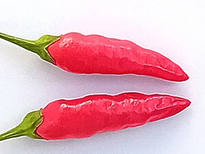 Seminţe de ardei Peri Peri