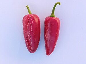 Seminţe de ardei Jalapeno Summer Heat