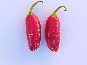 Seminţe de ardei Jalapeno Numex Vaquero
