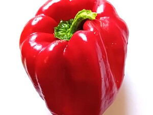 Răsad de ardei iute Antep Aci Dolma