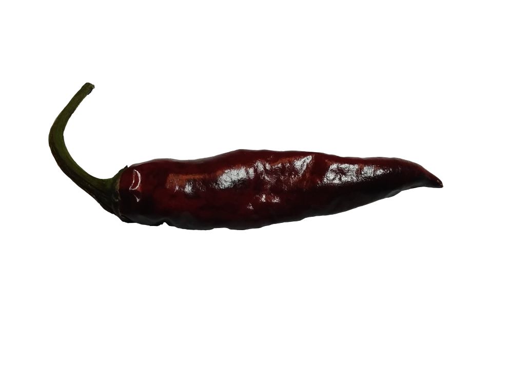 XA1000 Cayenne Purple Down