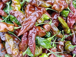 Ardei iute proaspăt Devil's Tongue Chocolate