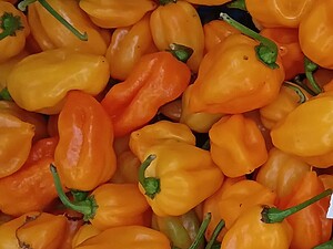 Ardei iute proaspăt Habanero Limon