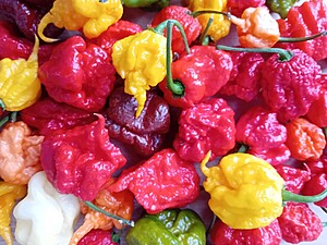 Ardei iute proaspăt Carolina Reaper Mix