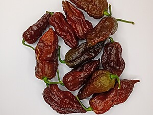 Ardei iute proaspăt  Bhut Jolokia Chocolate