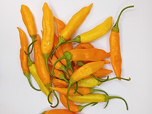 Ardei iute proaspăt Aji Mango