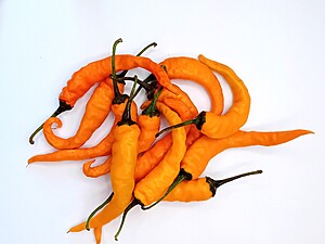 Seminţe de ardei iute Cayenne Orange