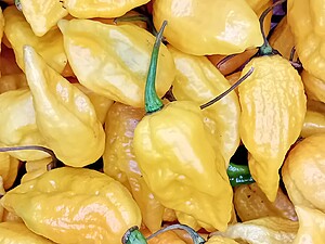 Ardei iute proaspăt Fatalii Yellow