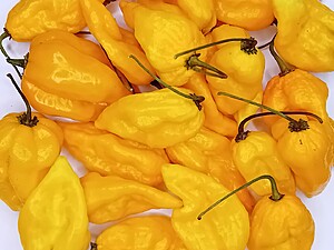 Ardei iute proaspăt Devil's Tongue Yellow