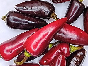 Ardei iute proaspăt Jalapeno Purple