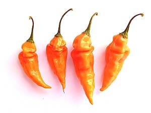 Seminţe de ardei iute Lemon Reaper