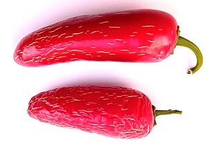 Seminţe de ardei iute Jalapeno Tam