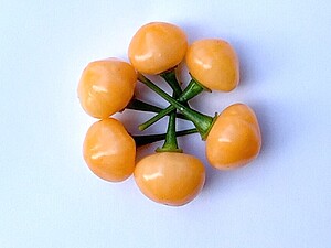 Seminţe de ardei iute Aji Charapita Peach